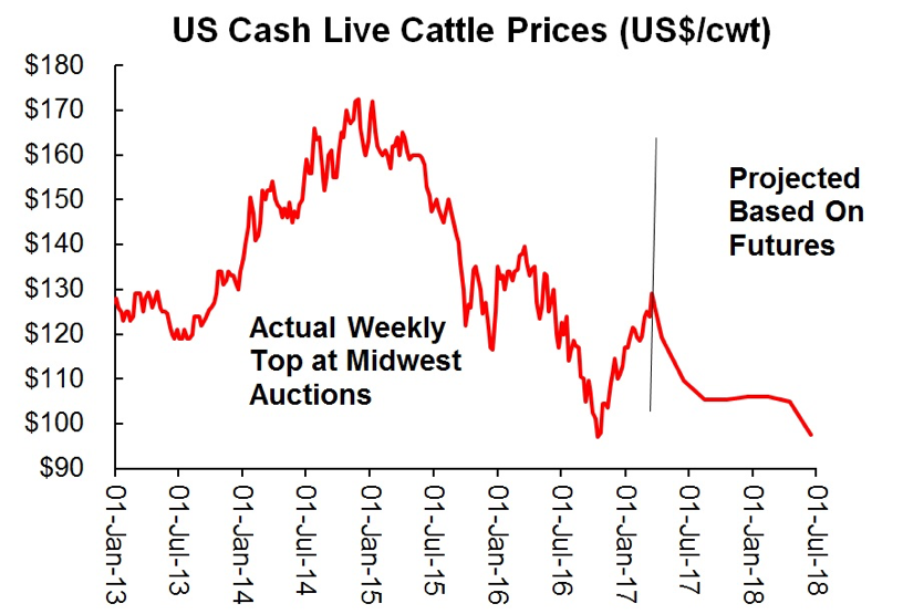 Are cattle futures overdoing the bearish risk? - Hi-Pro Feeds