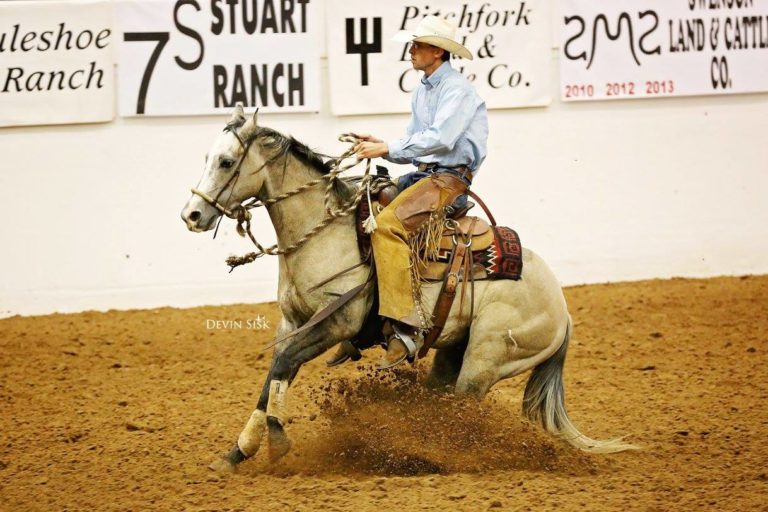 Gatlin Duncan works a horse in the show ring