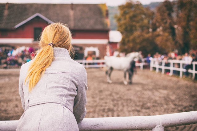 Woman views a horse in a sales ring