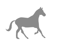 Horse Icon