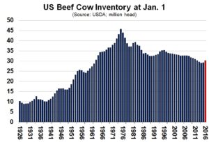 Chart of Cow Inventory Jan 1