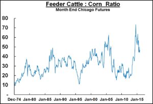 Feeder Cattle to Corn Ratio Chart