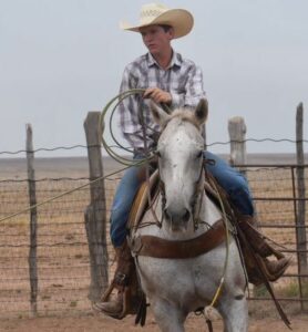 Kolton Wink Working Cattle