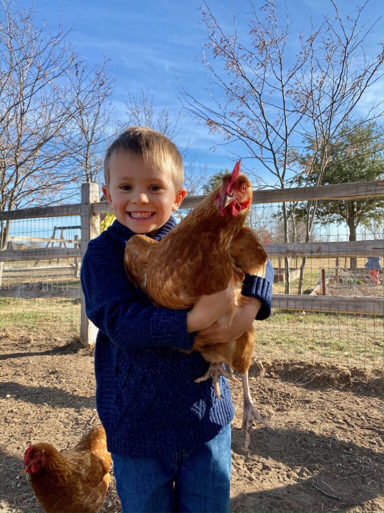 Little boy smiles holding his chicken